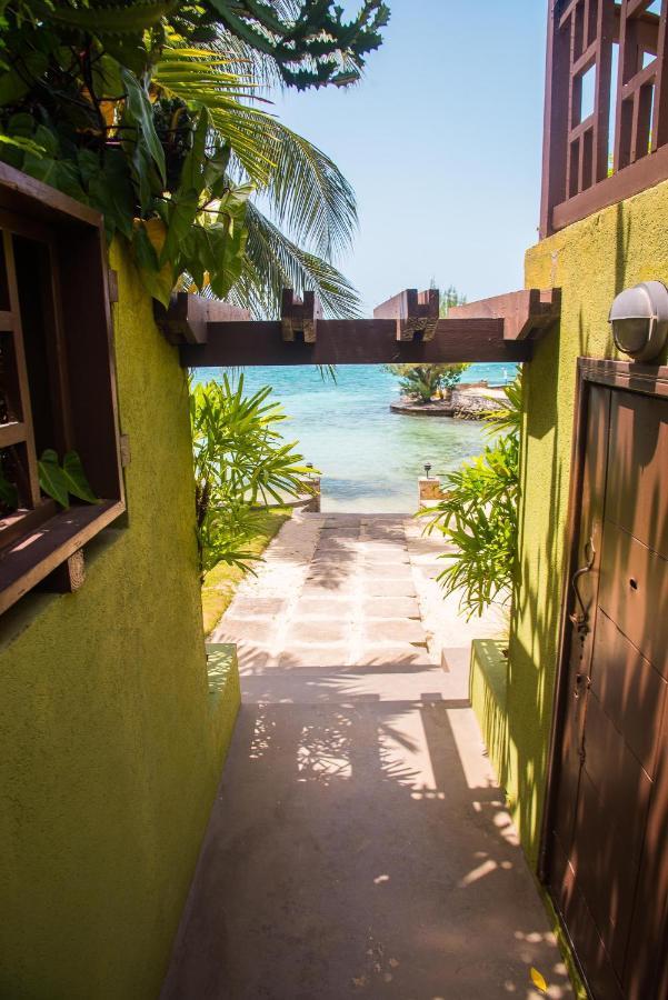Apartamento Maribella@Crystal Cove Ocho Rios Stanmore Grove Exterior foto